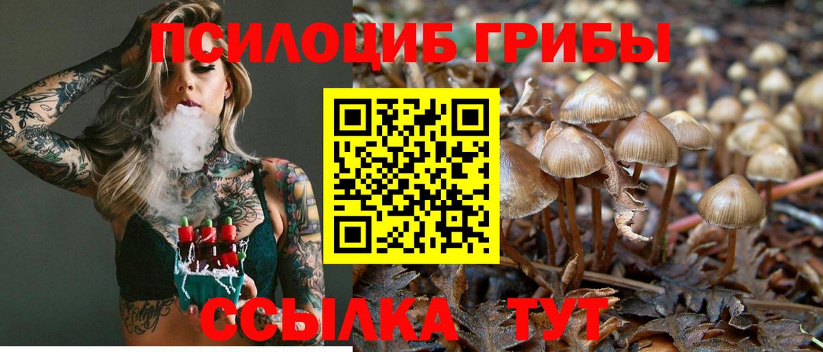 Псилоцибиновые грибы ЛСД Тула