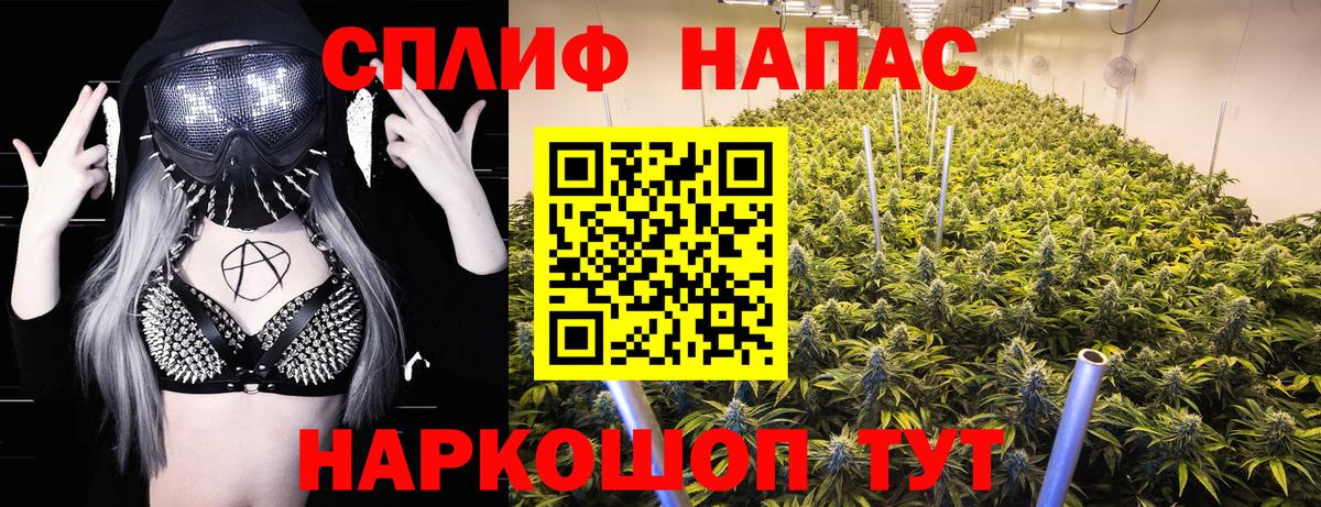 Шишки марихуана сатива Тула